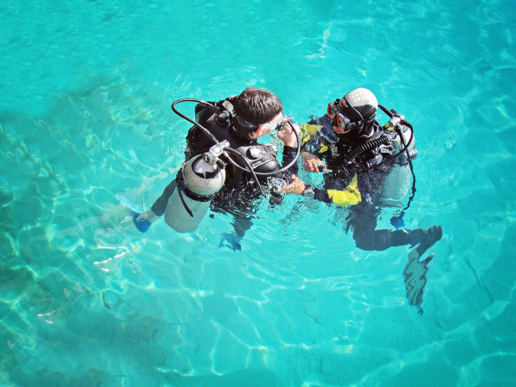 Курс Padi Boat Diver